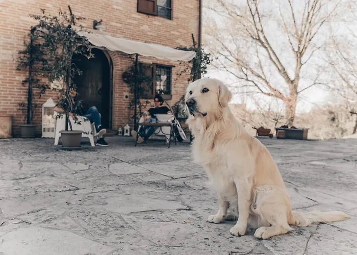 Casatorre فندق مبيت وإفطار 4*