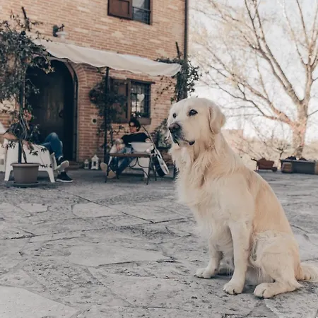 Casatorre Bed & Breakfast 4*