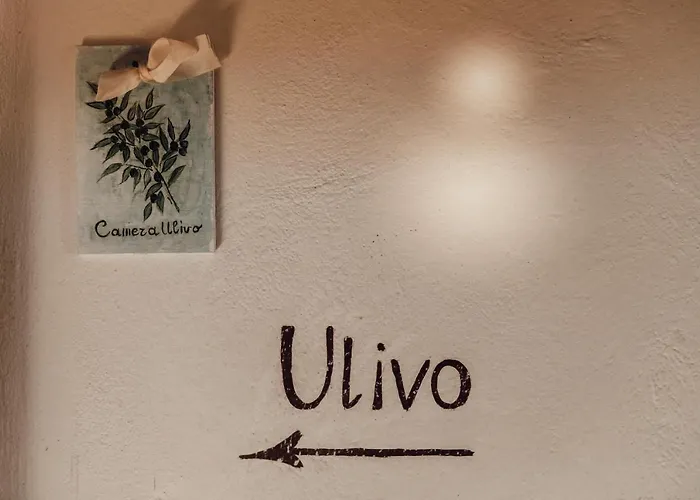 ベッド・アンド・ブレックファスト Casatorre Saludecio